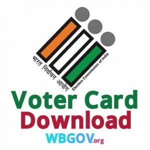 How to download voter Car online?